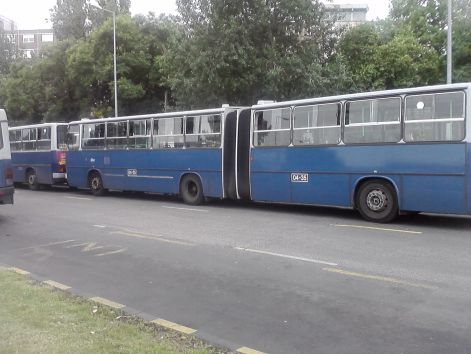 p240611_16.40.jpg